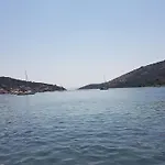 Stipe Vinišće